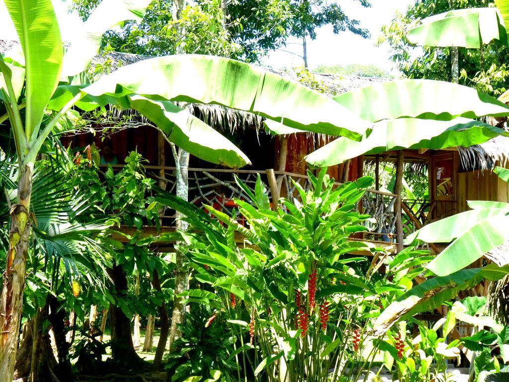 3 Bamboo Eco Lodge Cahuita Exterior foto