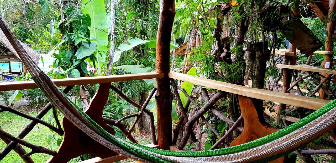 3 Bamboo Eco Lodge Cahuita Exterior foto