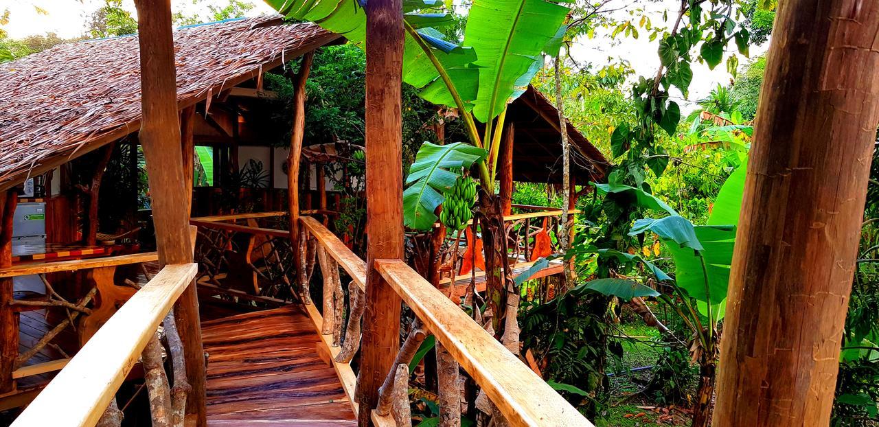 3 Bamboo Eco Lodge Cahuita Exterior foto