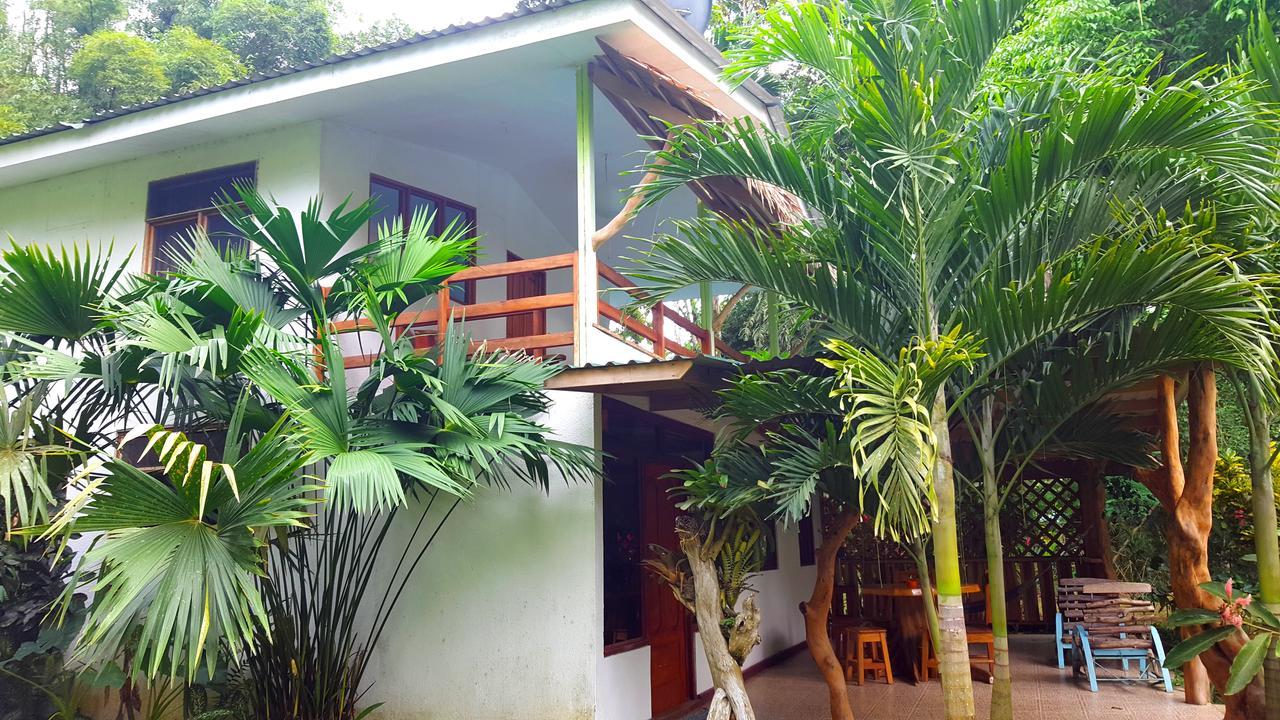 3 Bamboo Eco Lodge Cahuita Exterior foto