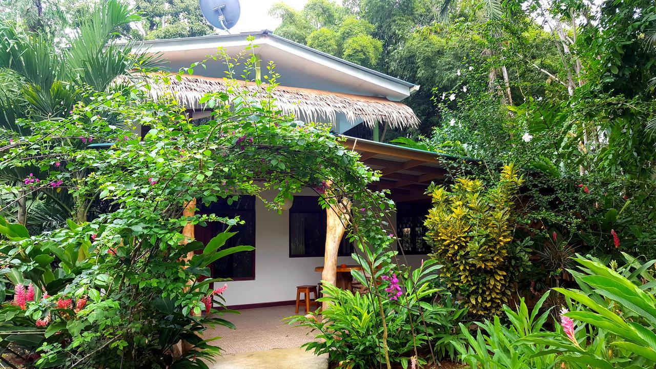 3 Bamboo Eco Lodge Cahuita Exterior foto