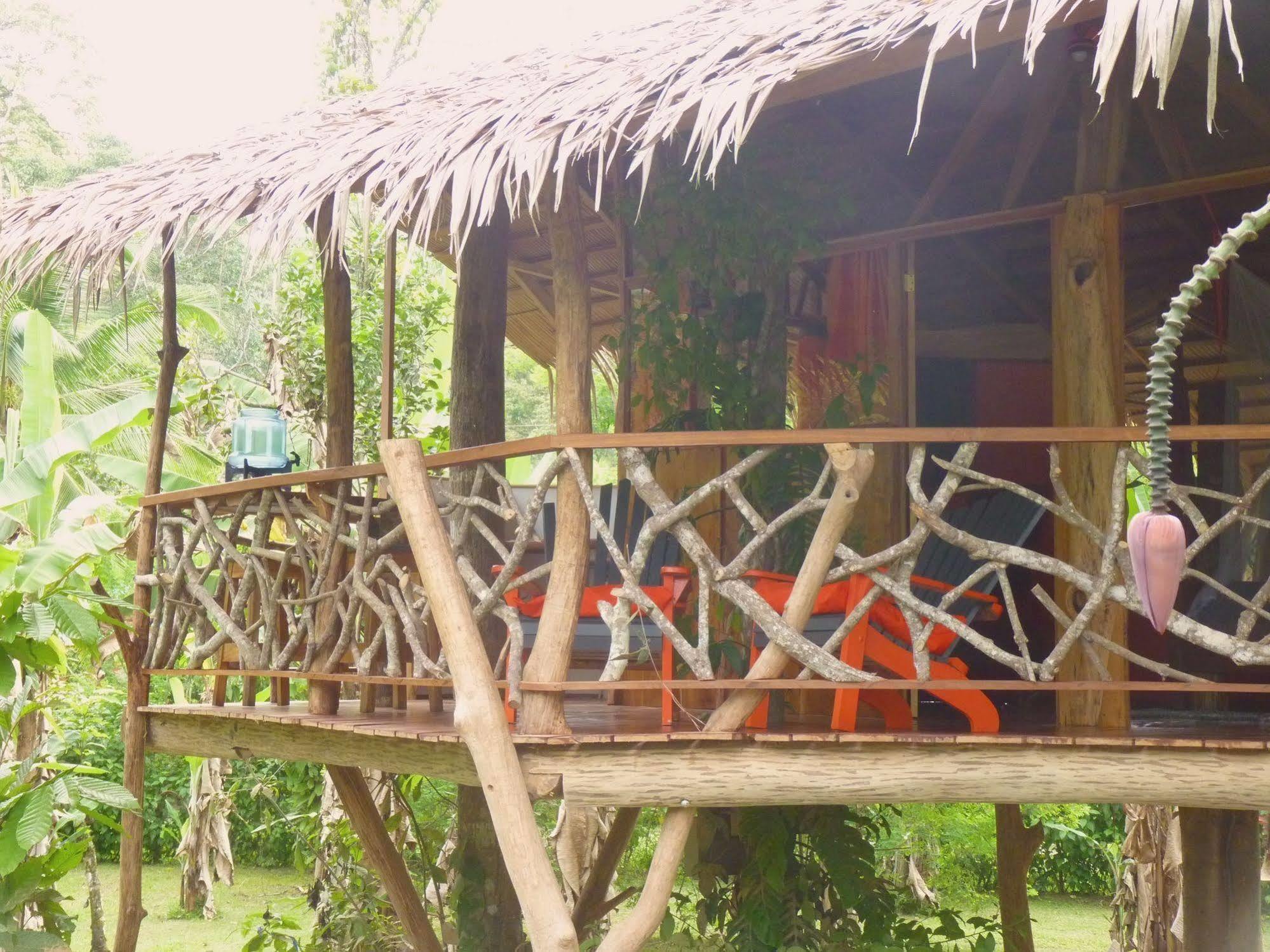 3 Bamboo Eco Lodge Cahuita Exterior foto