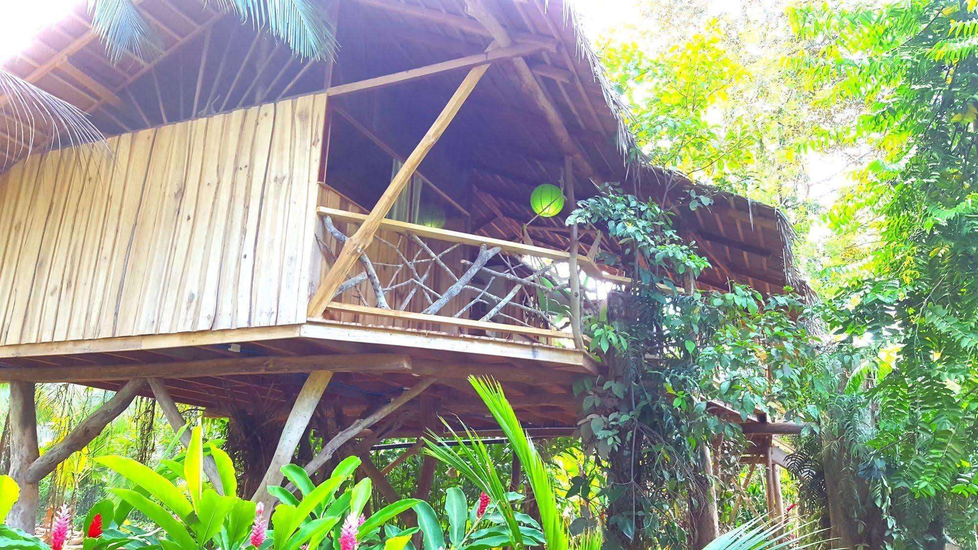 3 Bamboo Eco Lodge Cahuita Exterior foto