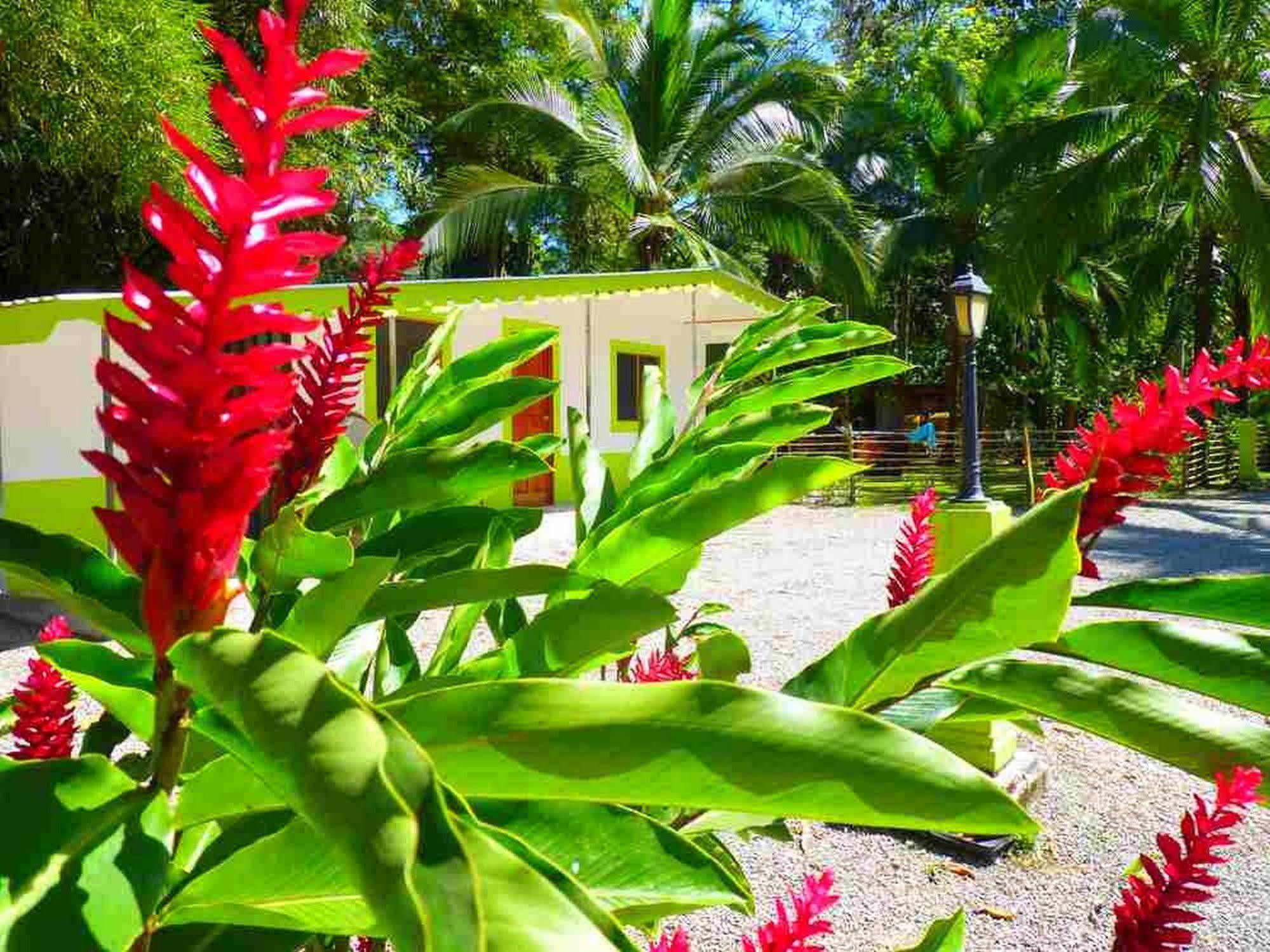 3 Bamboo Eco Lodge Cahuita Exterior foto