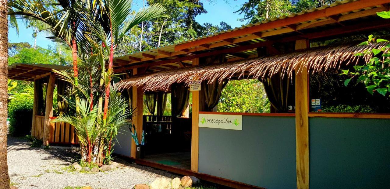 3 Bamboo Eco Lodge Cahuita Exterior foto